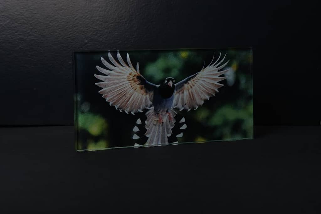 We provide highly advanced digital ceramic printing on glass that can perfectly implement any design for the interior or exterior glass with high resolution and various color intensities.